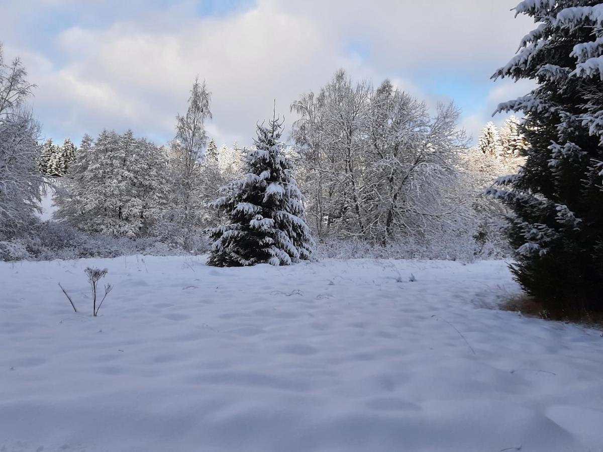 Chalet Waldstadl, Andrea'S Woidhaisl アルンブルック エクステリア 写真