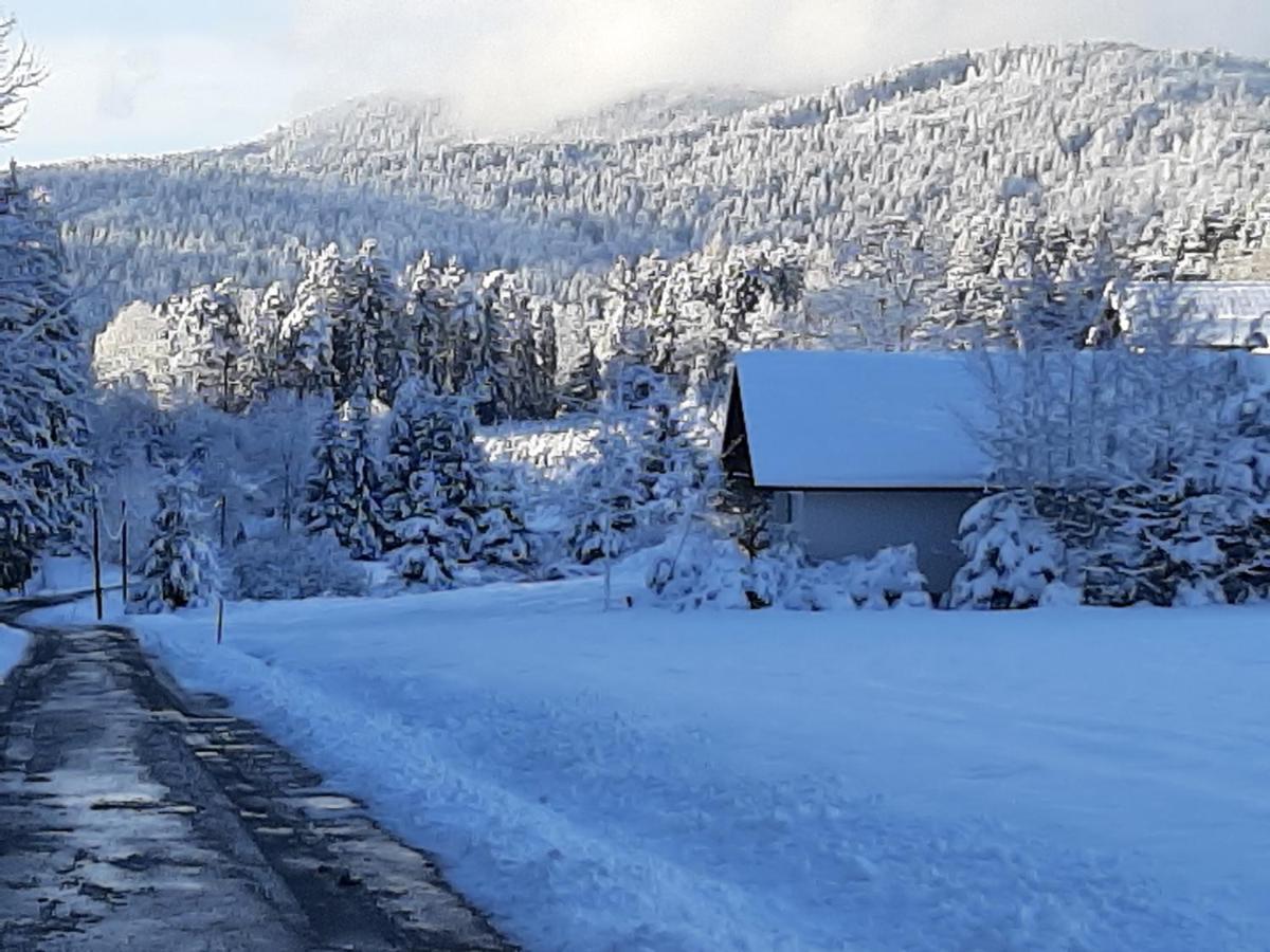 Chalet Waldstadl, Andrea'S Woidhaisl アルンブルック エクステリア 写真