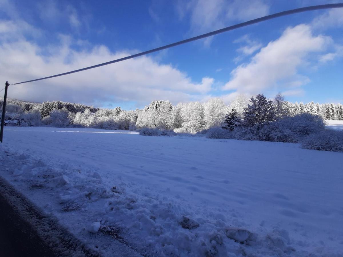 Chalet Waldstadl, Andrea'S Woidhaisl アルンブルック エクステリア 写真