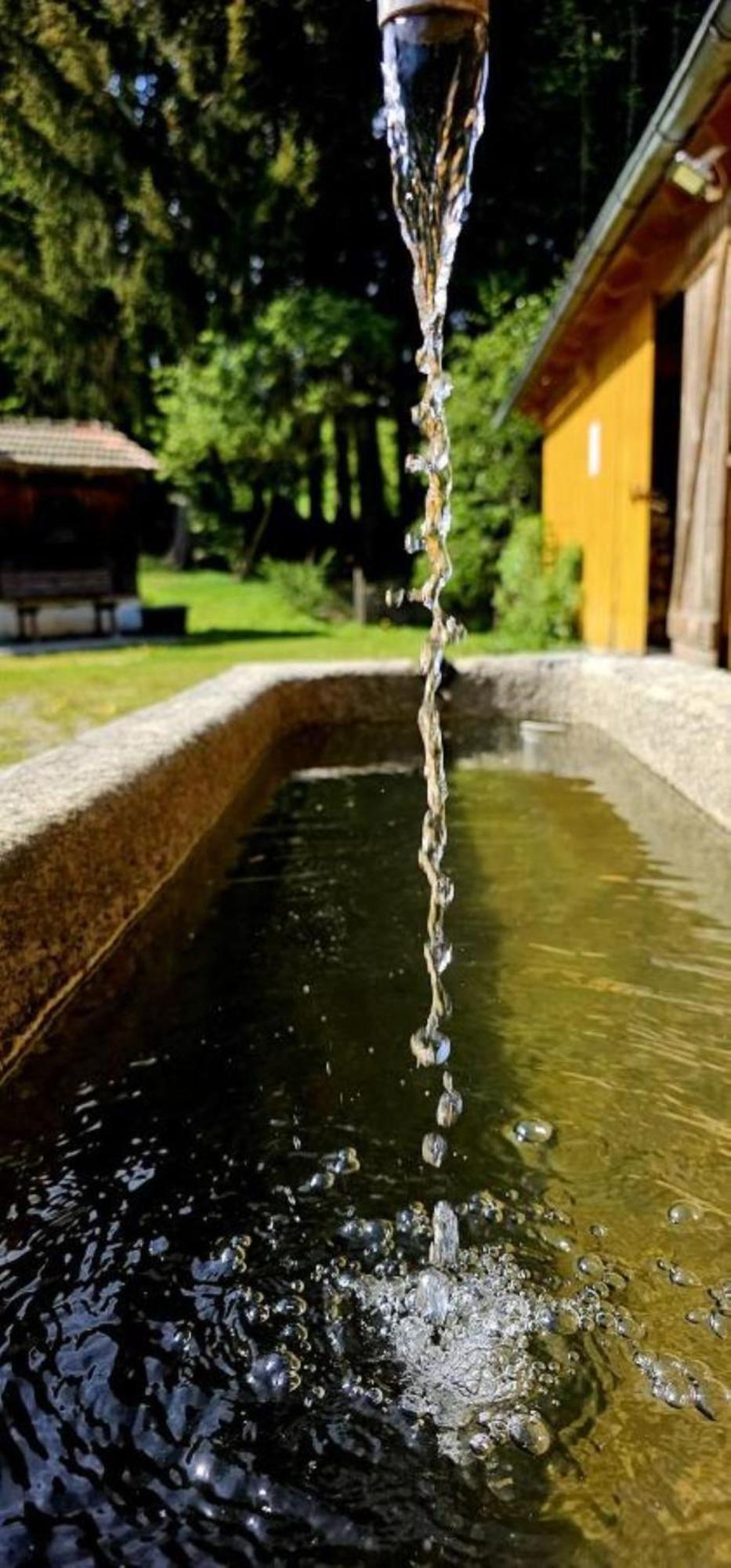 Chalet Waldstadl, Andrea'S Woidhaisl アルンブルック エクステリア 写真