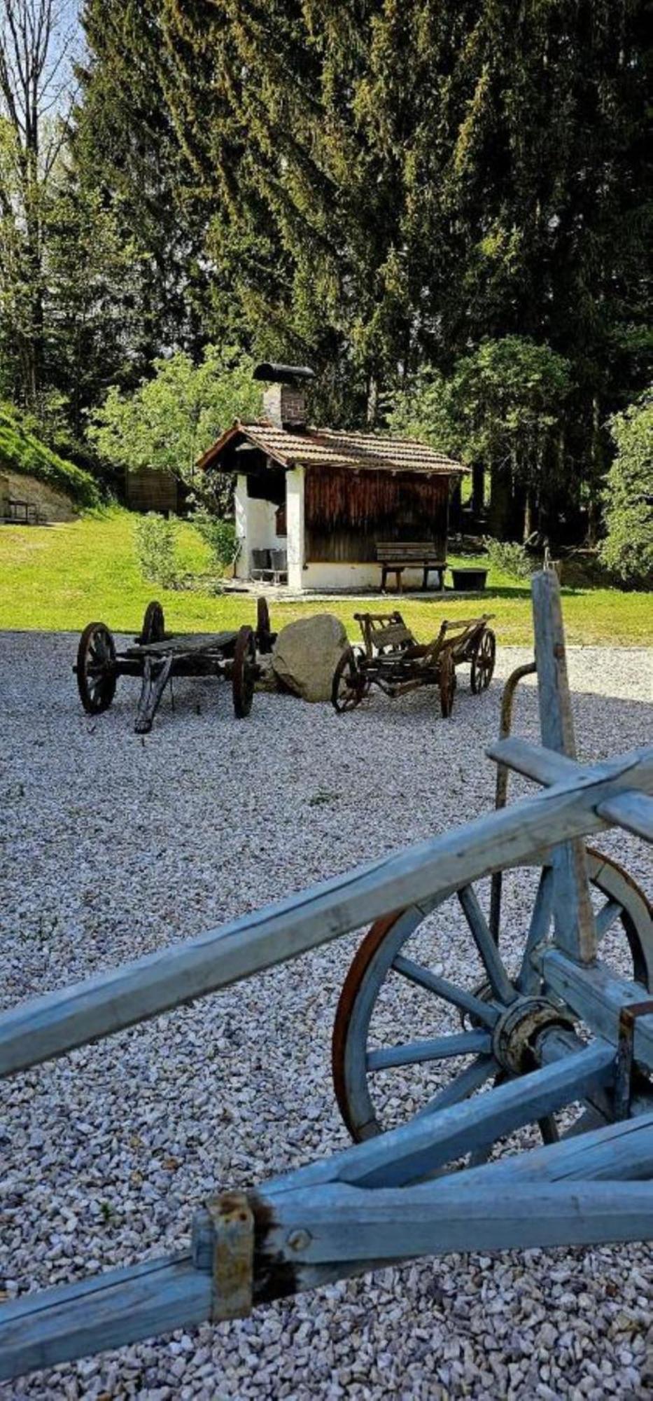 Chalet Waldstadl, Andrea'S Woidhaisl アルンブルック エクステリア 写真